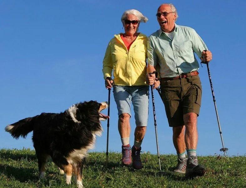 Зачем человеку собака?!